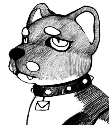 A drawing of a tuxedo cat plushie.